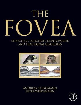 portada The Fovea: Structure, Function, Development, and Tractional Disorders (en Inglés)