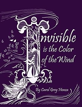 portada Invisible is the Color of the Wind