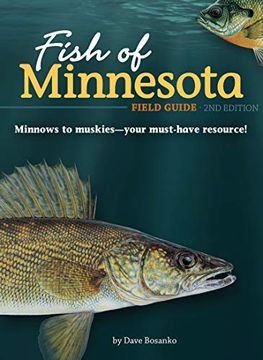 portada Fish of Minnesota Field Guide (Fish Identification Guides) (en Inglés)