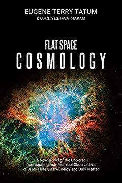 portada Flat Space Cosmology: A new Model of the Universe Incorporating Astronomical Observations of Black Holes, Dark Energy and Dark Matter 