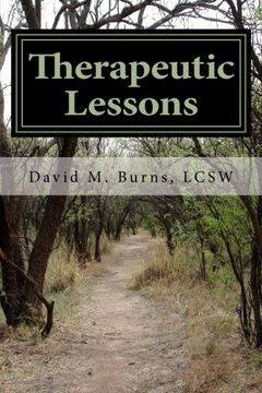 portada Therapeutic Lessons: An Introduction to Working with Clients with Serious and Persistent Mental Illness