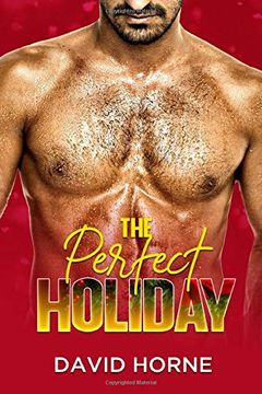 portada The Perfect Holiday (en Inglés)