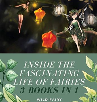 portada Inside the Fascinating Life of Fairies: 3 Books in 1 (en Inglés)