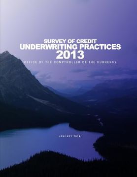 portada 2013 Survey of Credit Underwriting Practices (en Inglés)