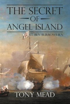 portada The Secret of Angel Island (in English)
