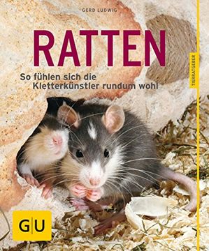 portada Ratten: So Fühlen Sich die Kletterkünstler Rundum Wohl (gu Tierratgeber) (en Alemán)