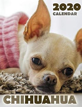 portada Chihuahua 2020 Calendar (en Inglés)