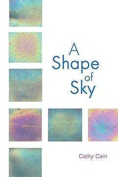 portada A Shape of sky (en Inglés)
