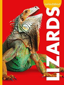 portada Curious About Lizards (Curious About Pets) (en Inglés)