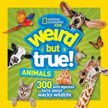 portada Weird but True Animals (en Inglés)