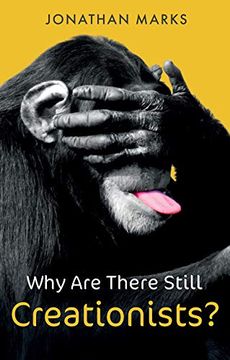 portada Why Are There Still Creationists?: Human Evolution and the Ancestors (en Inglés)
