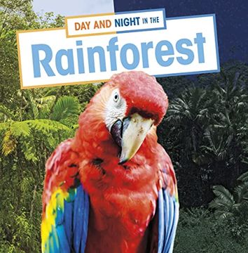 portada Day and Night in the Rainforest 