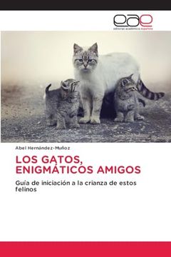 portada Los Gatos, Enigmáticos Amigos