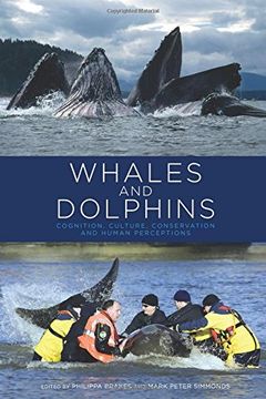 portada Whales and Dolphins: Cognition, Culture, Conservation and Human Perceptions (Earthscan Oceans) (en Inglés)