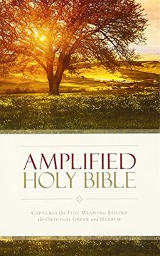 portada Amplified Holy Bible: Captures the Full Meaning Behind the Original Greek and Hebrew: Captures the Full Meaning Behind the Original Greek and Hebrew (en Inglés)