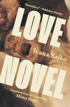 portada Love Novel (Biblioasis International Translation Series, 44) 