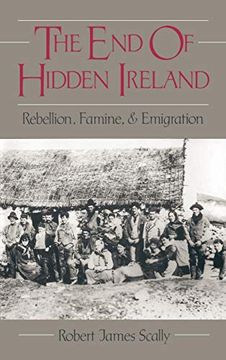 portada The end of Hidden Ireland: Rebellion, Famine, and Emigration (en Inglés)