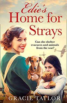 portada Edie's Home for Strays (en Inglés)