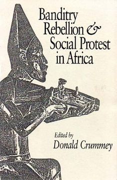portada Banditry, Rebellion and Social Protest in Africa 