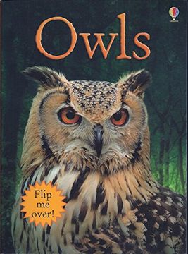 portada Owls