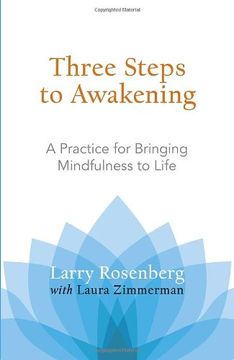 portada Three Steps to Awakening: A Practice for Bringing Mindfulness to Life (en Inglés)