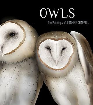 portada Owls: The Paintings of Jeannine Chappell (en Inglés)