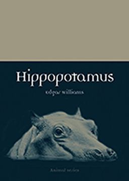 portada Hippopotamus (Animal)
