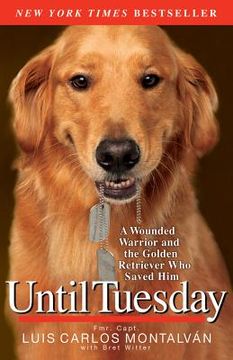 portada until tuesday: a wounded warrior and the golden retriever who saved him (en Inglés)