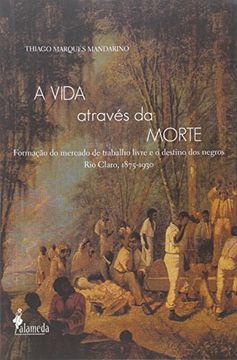 portada Vida Atraves Da Morte, A (Em Portuguese do Brasil)