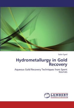 portada hydrometallurgy in gold recovery