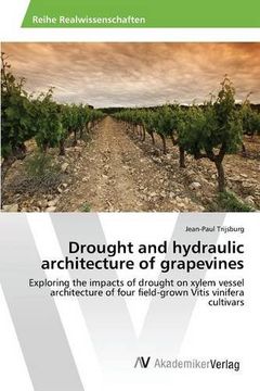 portada Drought and hydraulic architecture of grapevines