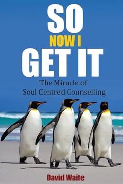 portada So Now I Get It: The Miracle of Soul-Centred Counselling (en Inglés)