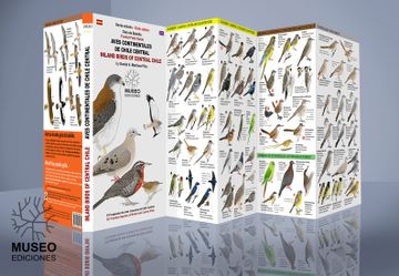 portada Guía de Aves Continentales de Chile Central