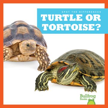 portada Turtle or Tortoise? (in English)