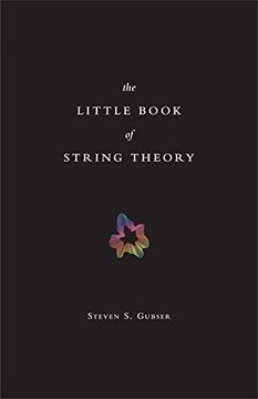 portada The Little Book of String Theory: 11 (Science Essentials) (in English)