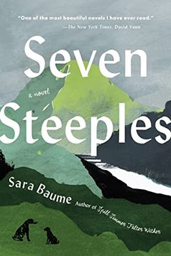 portada Seven Steeples: A Novel (in English)