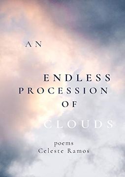 portada An Endless Procession of Clouds (en Inglés)