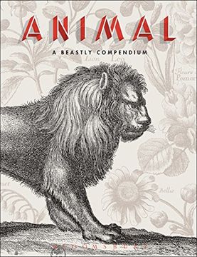 portada Animal: A Beastly Compendium