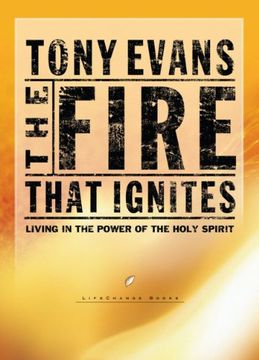 portada The Fire That Ignites (in English)