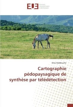 portada Cartographie pédopaysagique de synthèse par télédétection (OMN.UNIV.EUROP.)