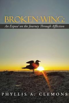 portada Broken-Wing: An Expose' on the Journey Through Affliction (en Inglés)
