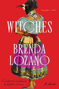 portada Witches: A Novel (in English)