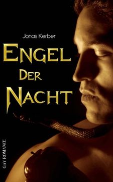 portada Engel der Nacht (Gay Romance) (in German)