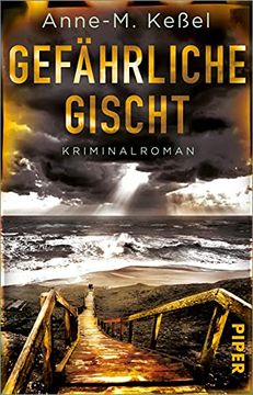 portada Gefährliche Gischt: Kriminalroman | Spannender Küsten-Krimi mit Ungewöhnlichem Deutsch-Dänischen Ermittlerinnen-Duo (in German)