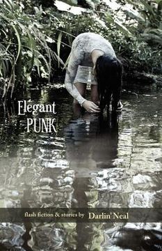 portada elegant punk (en Inglés)
