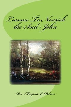 portada Lessons To Nourish the Soul from the Gospel of St. John (Nourishment for the Soul) (Volume 4)