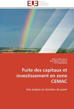 portada Fuite Des Capitaux Et Investissement En Zone Cemac