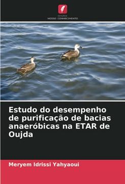 portada Estudo do Desempenho de Purificação de Bacias Anaeróbicas na Etar de Oujda (en Portugués)
