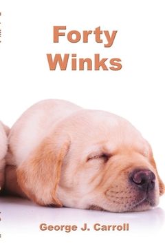 portada Forty Winks (en Inglés)