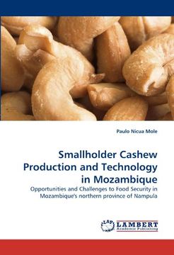 portada Smallholder Cashew Production and Technology in Mozambique: Opportunities and Challenges to Food Security in Mozambique's northern province of Nampula
